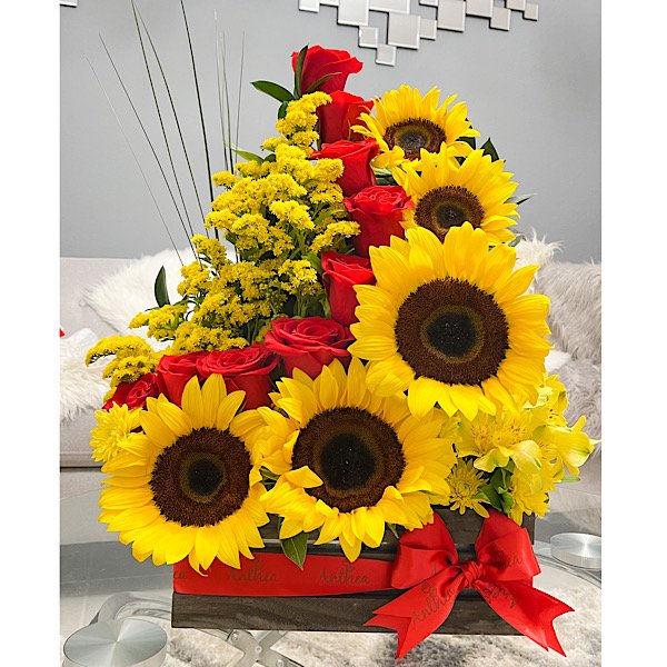 111ED08B-804F-49D2-B5F6-3684866C9C54