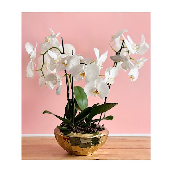 07A277D4-F003-4982-96C0-017288461A8C